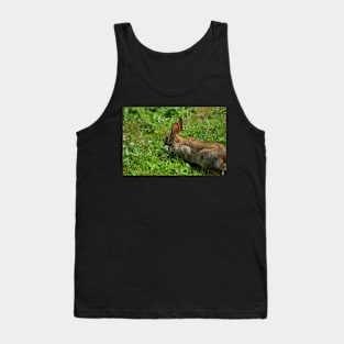 Wild Rabbit and Weeds Tank Top